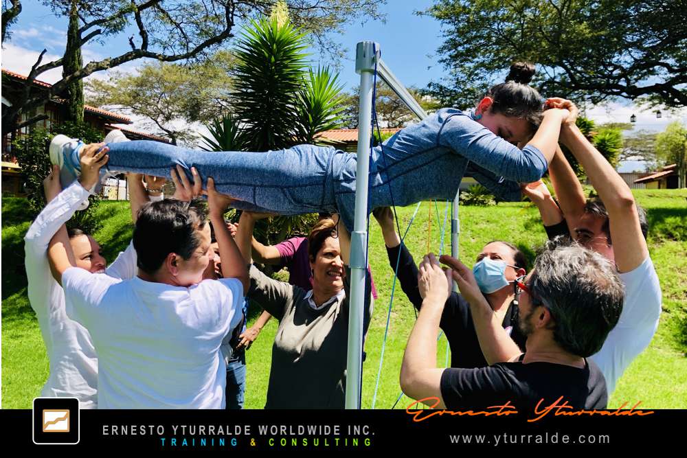 Programas de Team Building con Cuerdas Bajas para mejorar la cohesión y productividad